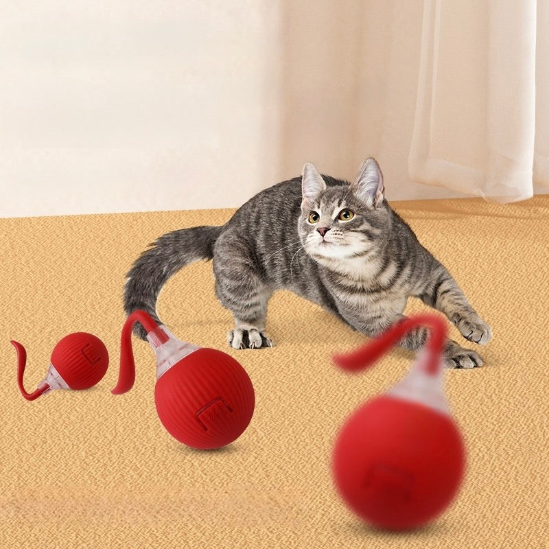 MagicBall para Gatos