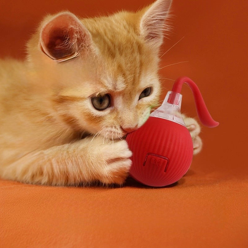 MagicBall para Gatos